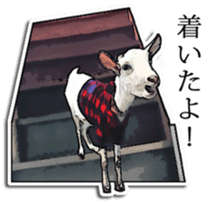 Shiropen the pygmy goat vol.2 sticker #4628155