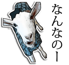Shiropen the pygmy goat vol.2 sticker #4628161