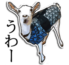 Shiropen the pygmy goat vol.2 sticker #4628162