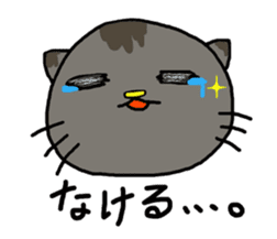 Stray cat's sticker #4634011