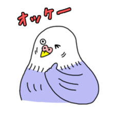 Funny Parakeet! sticker #4634343