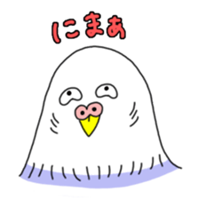 Funny Parakeet! sticker #4634344