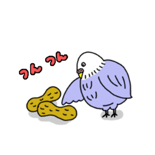 Funny Parakeet! sticker #4634355