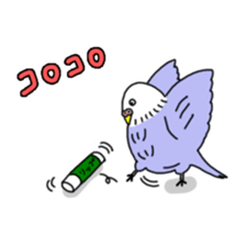 Funny Parakeet! sticker #4634359