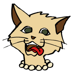 The master and the cat.