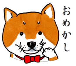 Life of the Japanese midget Shiba sticker #4637857