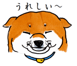 Life of the Japanese midget Shiba sticker #4637859