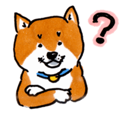 Life of the Japanese midget Shiba sticker #4637860