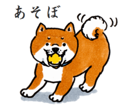 Life of the Japanese midget Shiba sticker #4637861