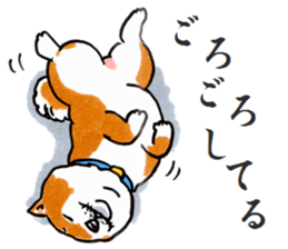 Life of the Japanese midget Shiba sticker #4637864