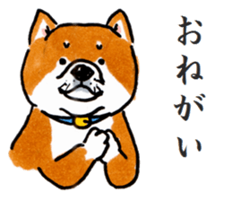 Life of the Japanese midget Shiba sticker #4637866
