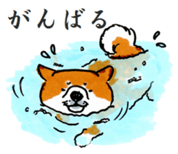 Life of the Japanese midget Shiba sticker #4637868