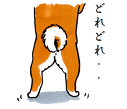 Life of the Japanese midget Shiba sticker #4637869