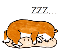 Life of the Japanese midget Shiba sticker #4637873