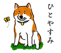 Life of the Japanese midget Shiba sticker #4637874