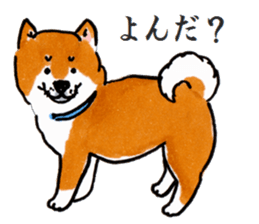 Life of the Japanese midget Shiba sticker #4637875