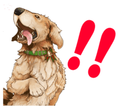 Tir-no-gear PC&NPC sticker #4637952