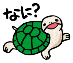 Clunker everyday turtle sticker #4639291