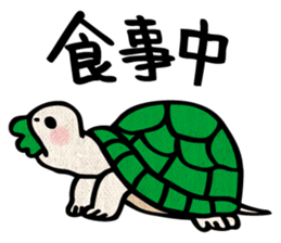 Clunker everyday turtle sticker #4639299