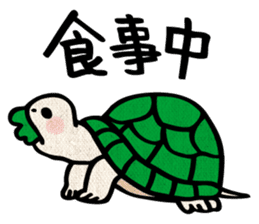 Clunker everyday turtle sticker #4639299