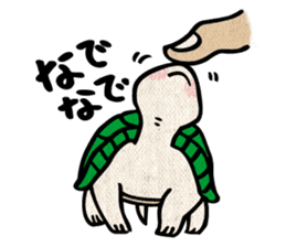 Clunker everyday turtle sticker #4639301