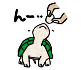 Clunker everyday turtle sticker #4639302