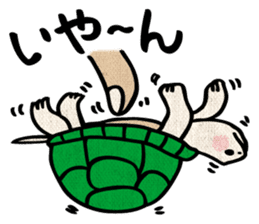 Clunker everyday turtle sticker #4639306