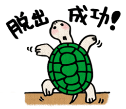 Clunker everyday turtle sticker #4639307