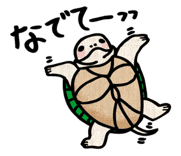 Clunker everyday turtle sticker #4639310