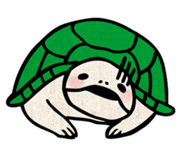Clunker everyday turtle sticker #4639319