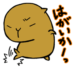 Nagasaki dialect of the capybara -part2- sticker #4640511