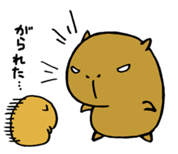 Nagasaki dialect of the capybara -part2- sticker #4640526