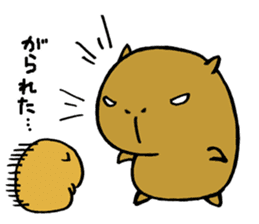 Nagasaki dialect of the capybara -part2- sticker #4640526