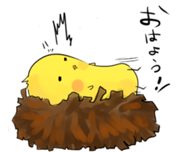 PUN circle of a chick sticker #4641288