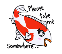 Nishikigoi sticker #4643170