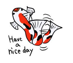 Nishikigoi sticker #4643188