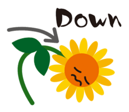 Sunflower field ( English ver. ) sticker #4644427