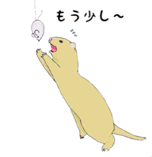 Life of ferrets sticker #4650048