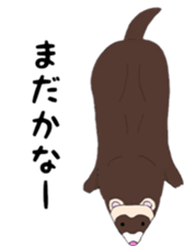 Life of ferrets sticker #4650051