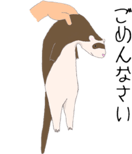 Life of ferrets sticker #4650055