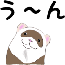 Life of ferrets sticker #4650057