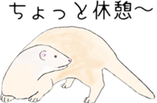 Life of ferrets sticker #4650058