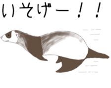 Life of ferrets sticker #4650059
