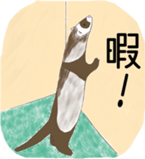Life of ferrets sticker #4650061