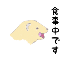 Life of ferrets sticker #4650066