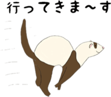 Life of ferrets sticker #4650069