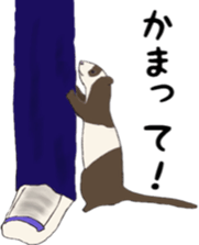 Life of ferrets sticker #4650070