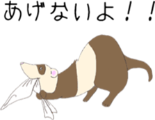 Life of ferrets sticker #4650076