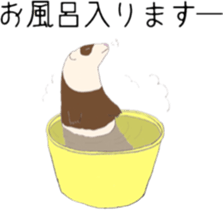 Life of ferrets sticker #4650077