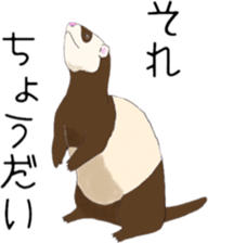 Life of ferrets sticker #4650079